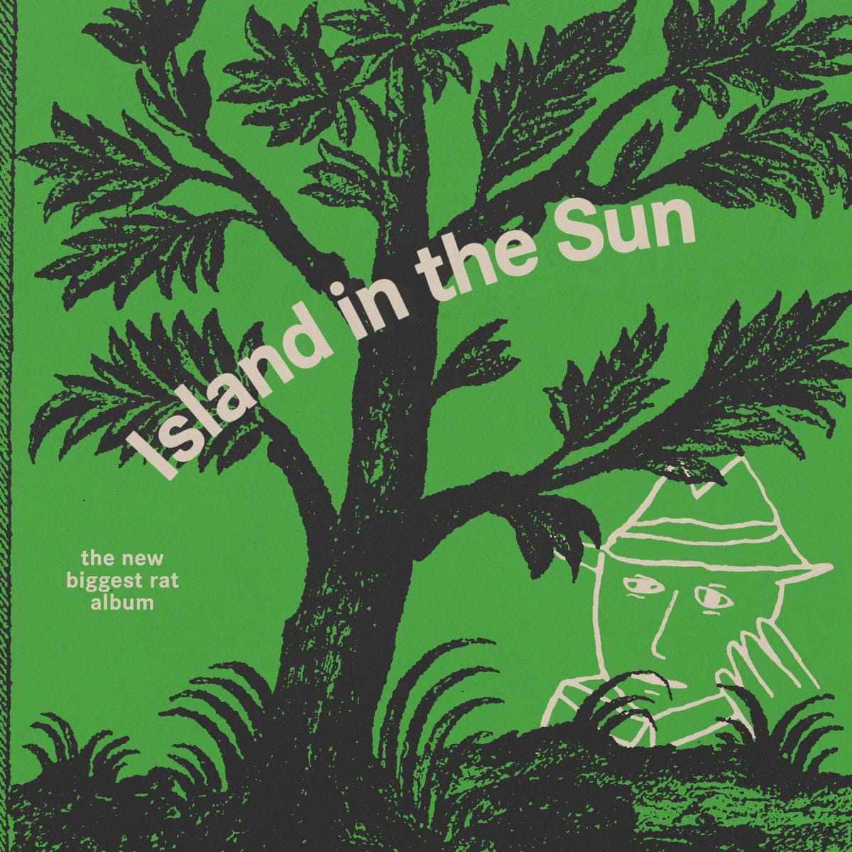 Biggest Rat – Island in the Sun