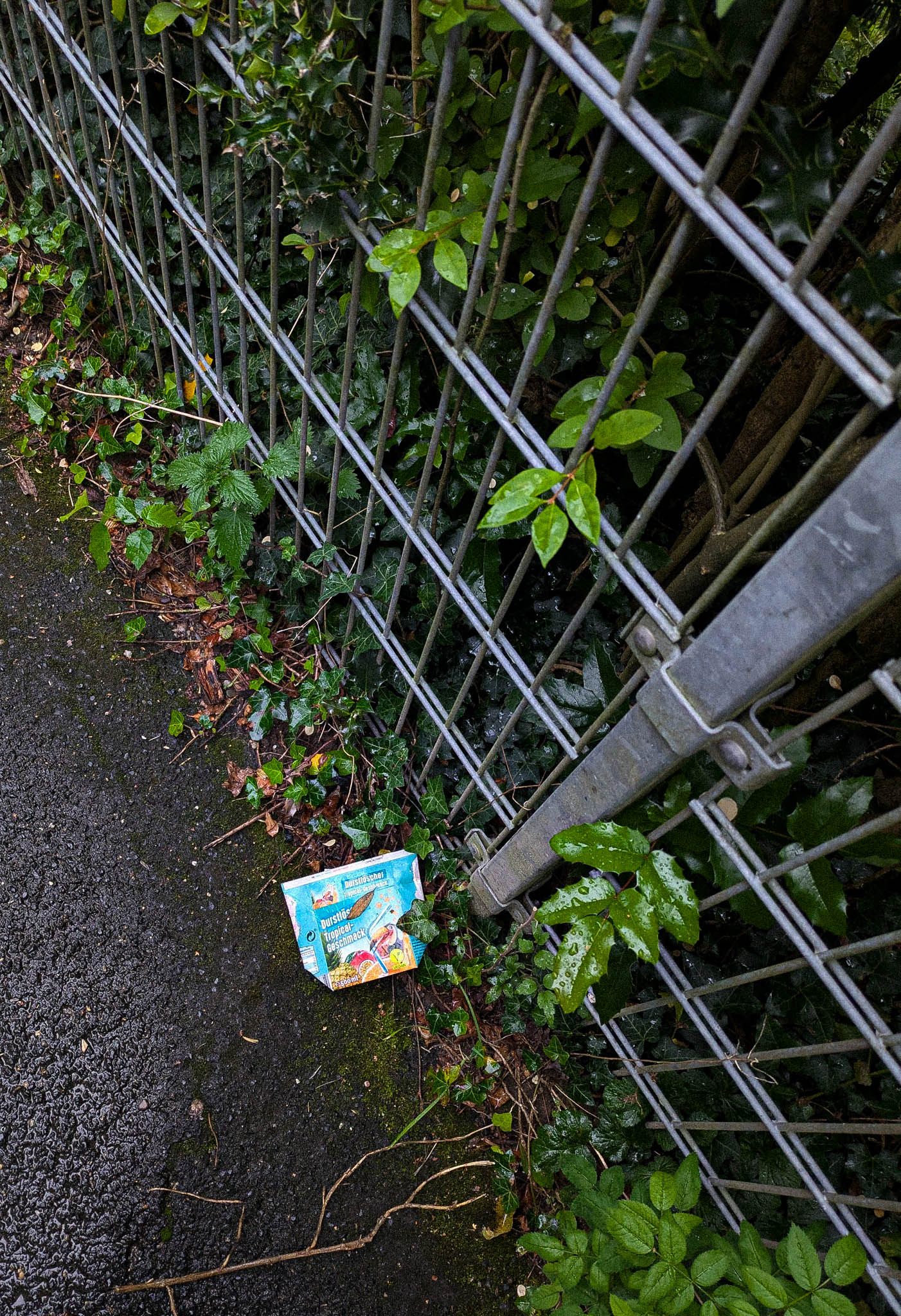 Tropical flavor next to a fence